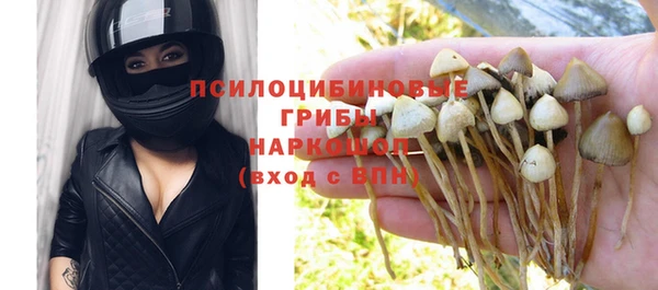 не бодяженный Алексин