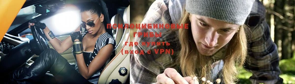 соль ск Нефтекумск
