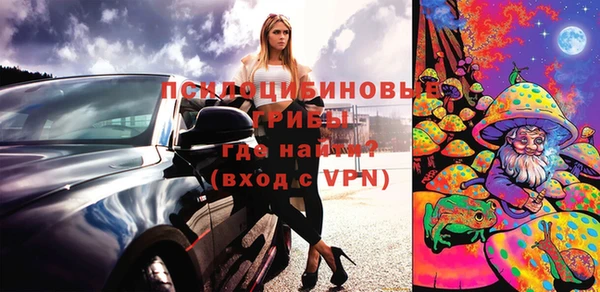 не бодяженный Алексин